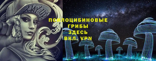 крисы Беломорск