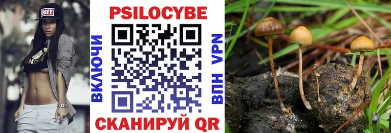Купить  Гуково  Псилоцибиновые грибы мухоморы 